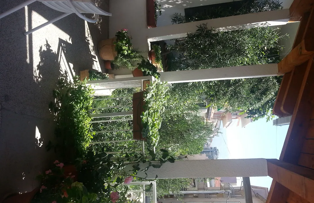 Vila Angela-1